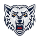BK狼队 Logo