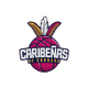 加拉加斯勒比女篮 Logo