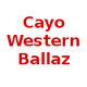 西部巴拉兹 Logo