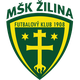 斯利纳U19 Logo