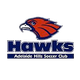 阿德莱德山丘 Logo