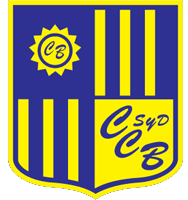 巴拉斯图尔后备队 Logo