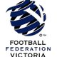 南部足球中心女足 Logo