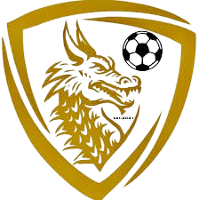 天龙FC Logo