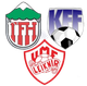 FHL女足 Logo