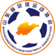 山东全运女足 Logo