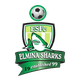 埃尔米纳鲨鱼 Logo