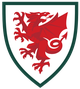 威尔士U19 Logo