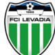 利云达高斯U19 Logo