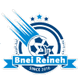 莱纳比尼马卡比 Logo