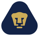 美洲狮女足 Logo
