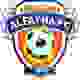 费哈青年队 Logo