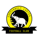 铜带女足 Logo