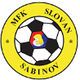 萨比诺夫 Logo