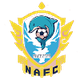 福建泉州南安女足 Logo