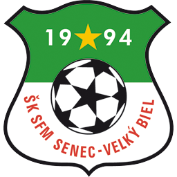 SFM森纳克 Logo