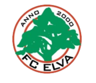 爱尔华女足 Logo