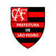 弗拉门戈圣佩德罗女足 Logo