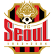 FC首尔 Logo
