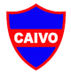 独立队 Logo