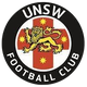 新南威尔士大学U20 Logo