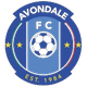 艾云达尔U23 Logo