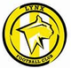 山猫FC Logo