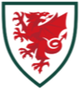 威尔士U17 Logo