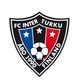 图尔库国际U20 Logo