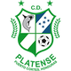 帕兰德森 Logo