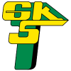 莱茨纳女足 Logo