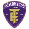 埃及电信 Logo