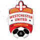西切斯特联U19 Logo