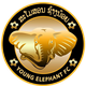 小象FC Logo