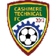 羊绒工业女足 Logo