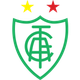 米内罗美洲青年队 Logo