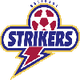 布里斯班前锋U23 Logo