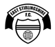 东斯特灵郡 Logo