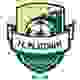 铂金 Logo