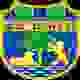 泽蒙女足 Logo