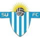 萨尔托资本 Logo