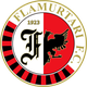 法拿莫达利 Logo