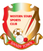 丹迪黄蜂队 Logo