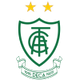阿美利加明尼路女足 Logo