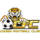 古玛老虎 Logo