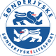 桑德捷斯基U19 Logo