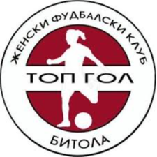 ZFK丁高尔女足 Logo