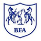 博茨瓦纳女足 Logo